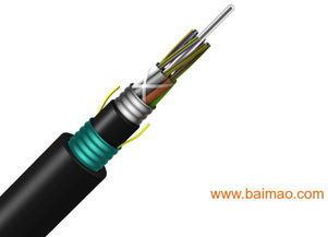 地埋专用通信光缆gyta53光缆,地埋专用通信光缆gyta53光缆生产厂家,地埋专用通信光缆gyta53光缆价格